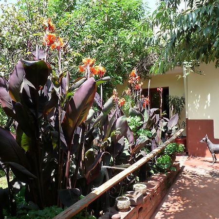 Kukuli Lodge B&B Cuzco Eksteriør bilde