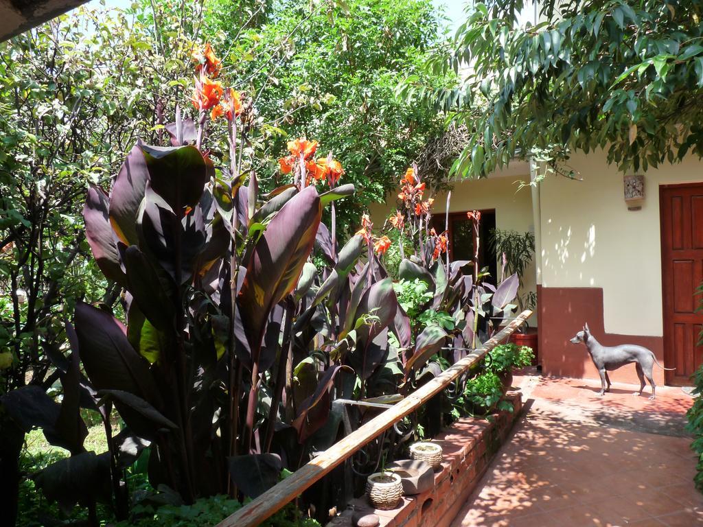 Kukuli Lodge B&B Cuzco Eksteriør bilde