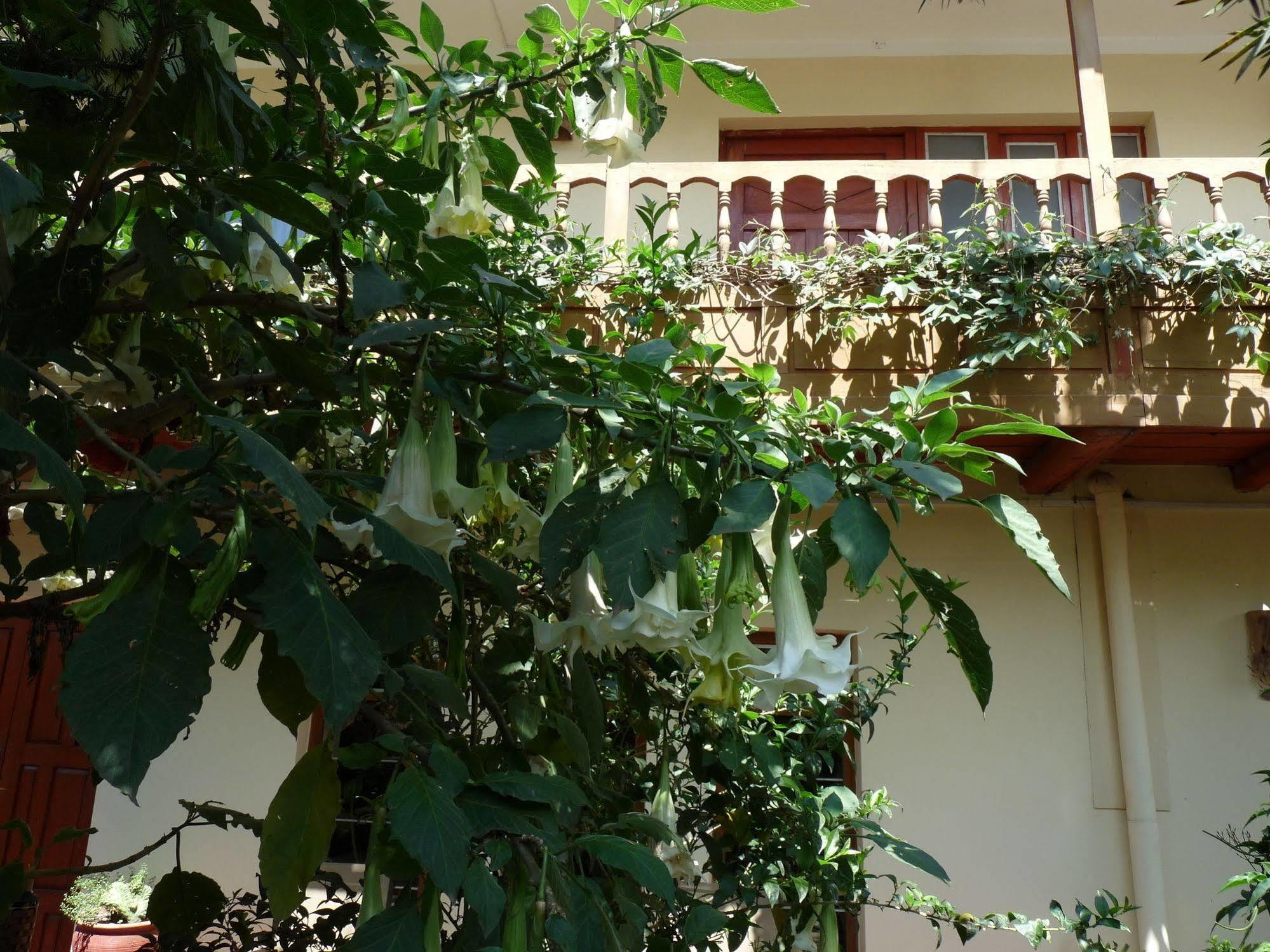 Kukuli Lodge B&B Cuzco Eksteriør bilde